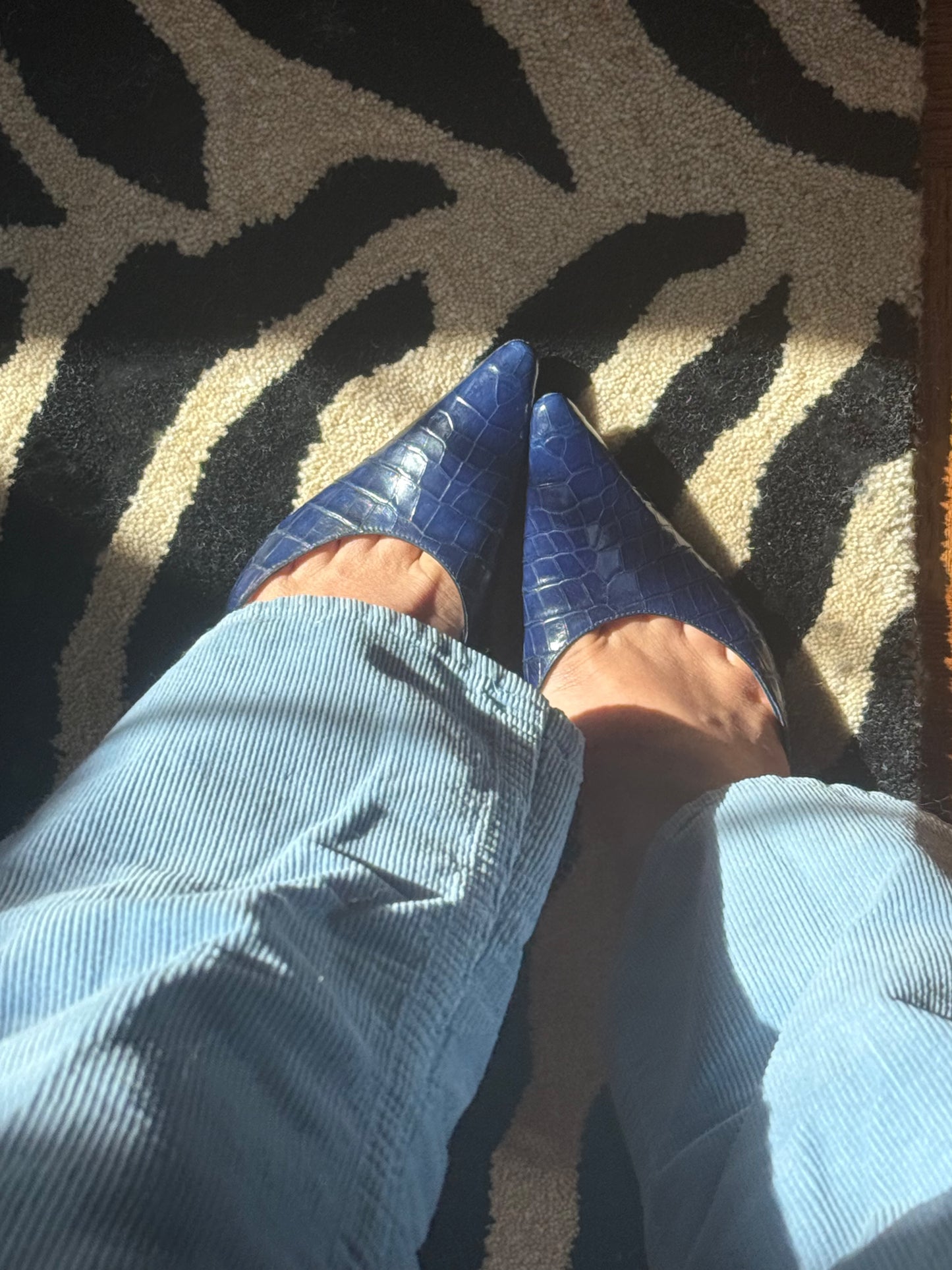 Manolo Blahnik Heels (40)