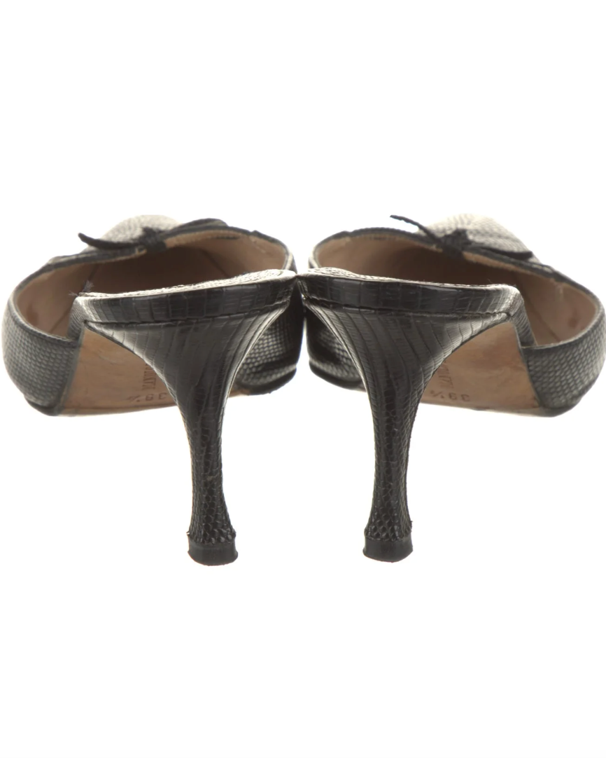 Manolo Blahnik Heels (39.5)