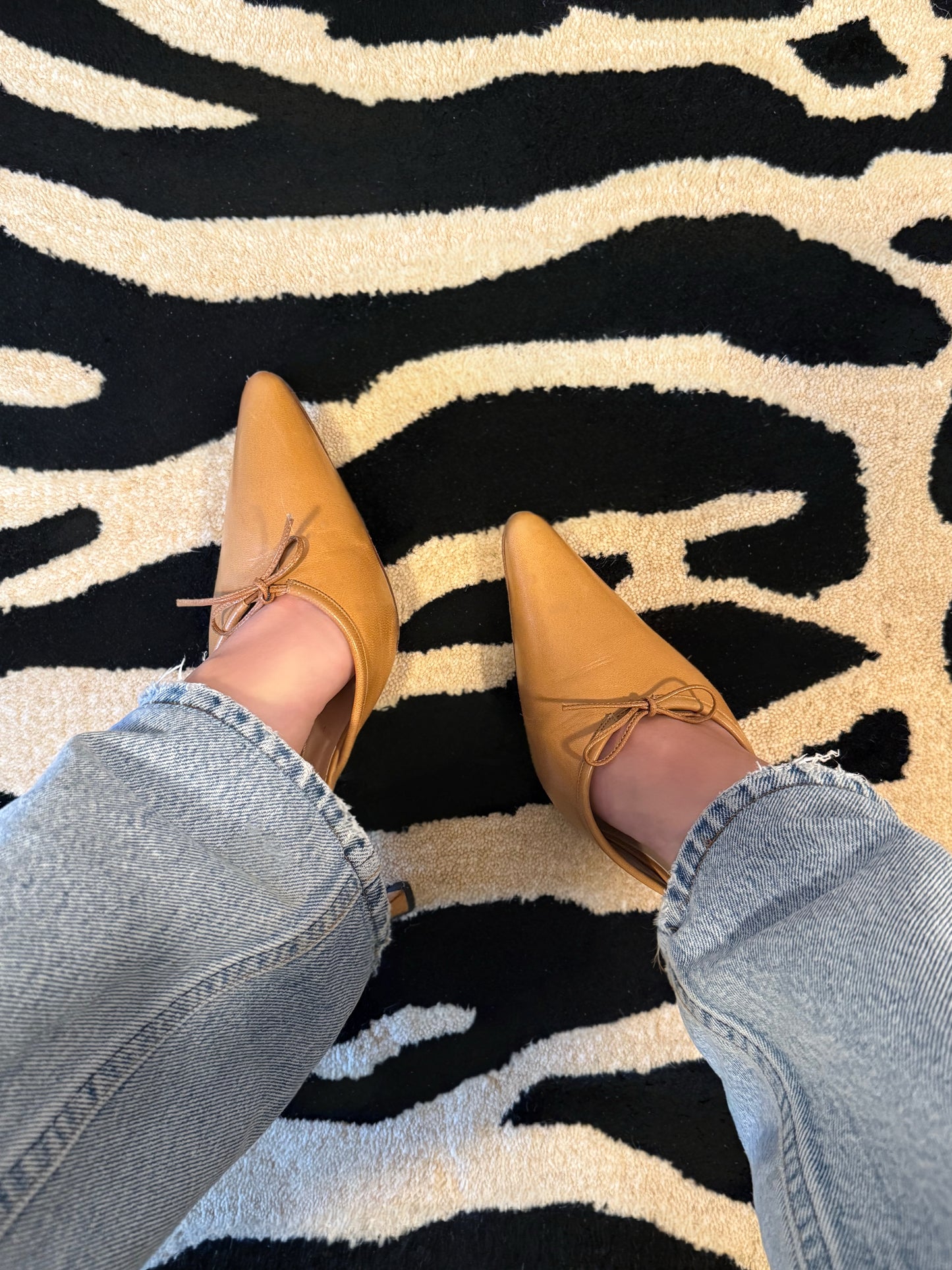 Manolo Blahnik Heels (40.5)