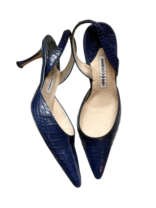 Manolo Blahnik Heels (40)